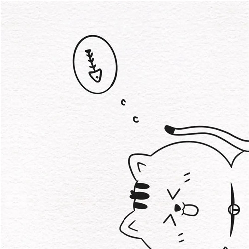 2026热门白色极简头像图片