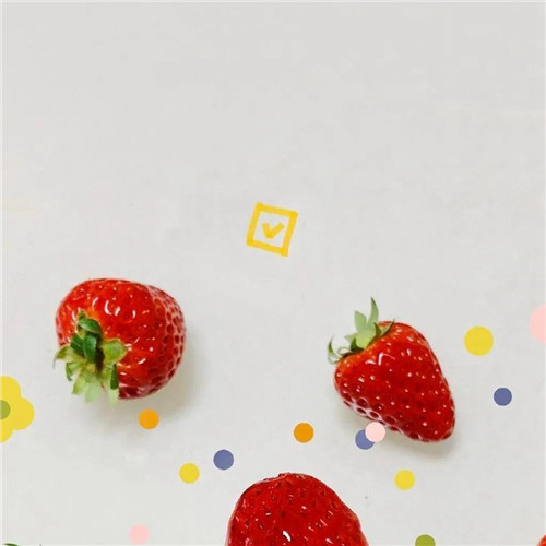 2026热门白色极简头像图片