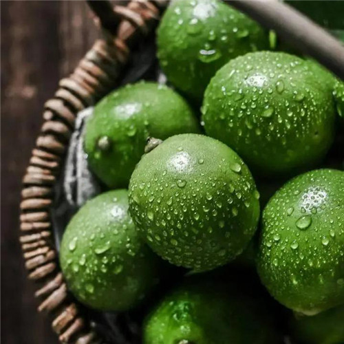 橘子头像图片