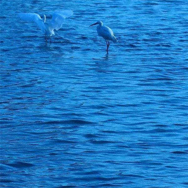 深蓝色治愈系背景头像图片