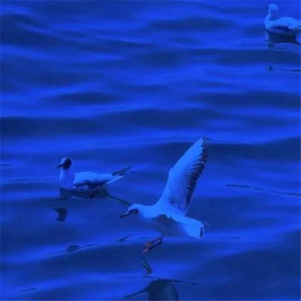 深蓝色治愈系背景头像图片