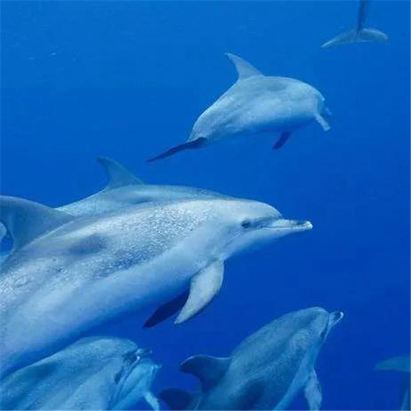 深蓝色治愈系背景头像图片