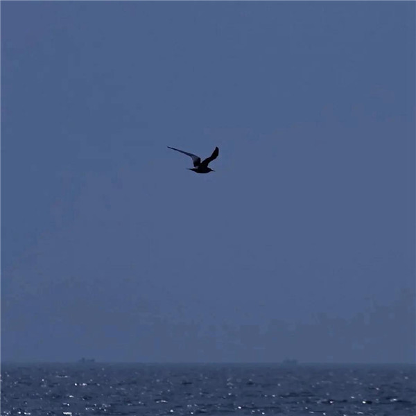 深蓝色治愈系背景头像图片