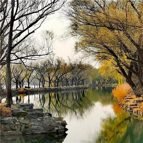 超火超好看的唯美治愈风景头像