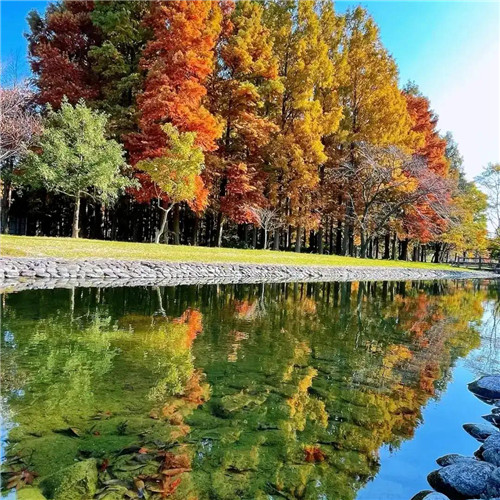 超火超好看的唯美治愈风景头像