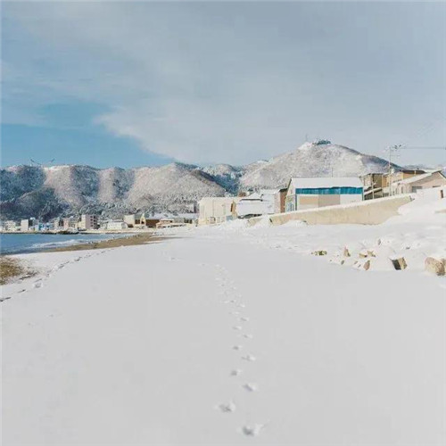 微信头像雪景图片