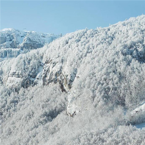 微信头像雪景图片