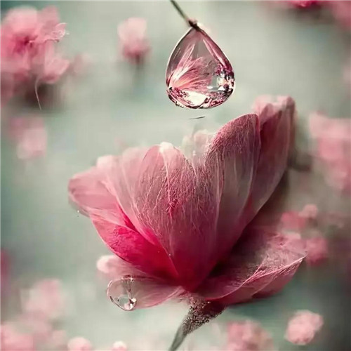 2026精选美丽壁纸背景图片头像