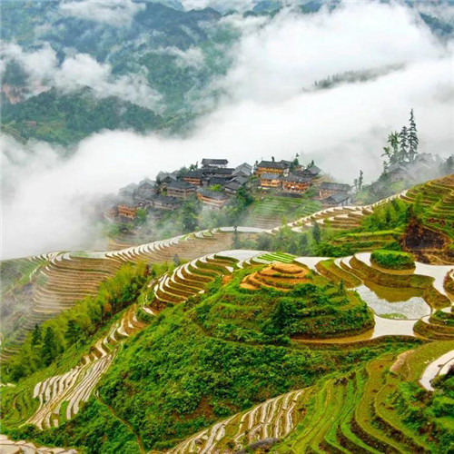 最美梯田图片头像