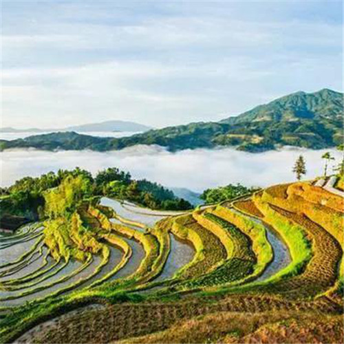 最美梯田图片头像