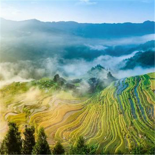 最美梯田图片头像