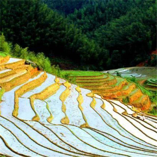 最美梯田图片头像