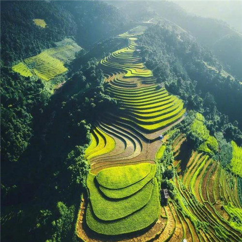 最美梯田图片头像