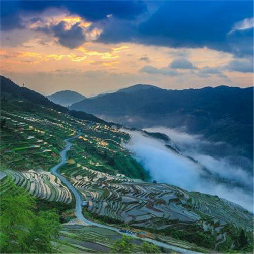 最美梯田图片头像