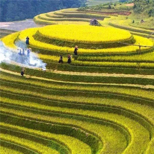 最美梯田图片头像