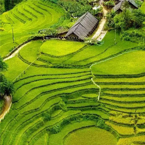 最美梯田图片头像