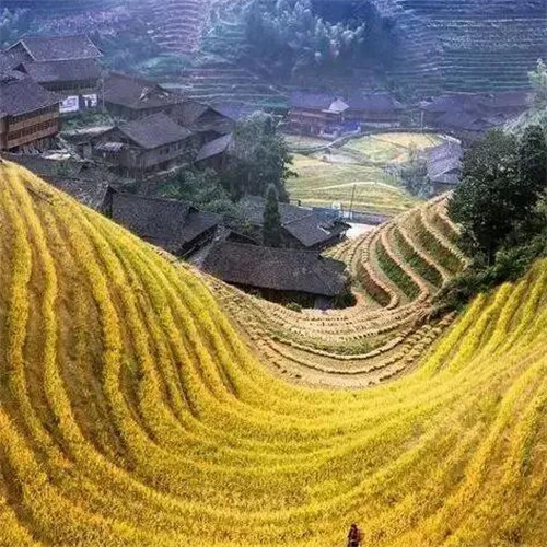 最美梯田图片头像