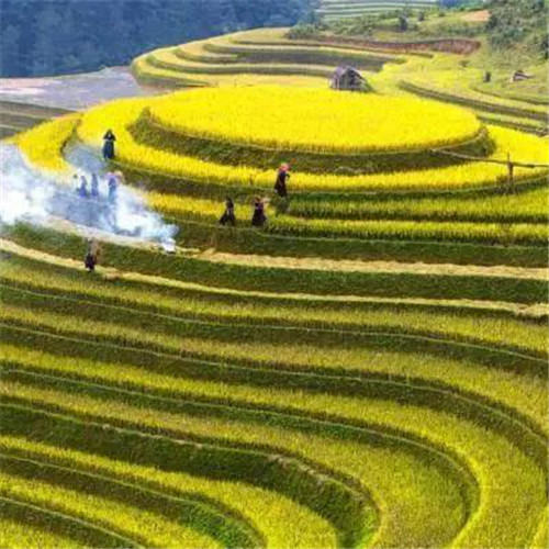 最美梯田图片头像