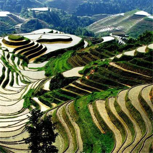 最美梯田图片头像