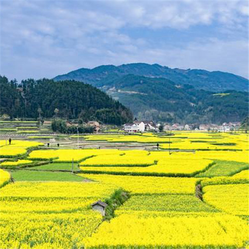最美梯田图片头像