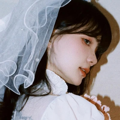 最美婚纱头像好看超火图片