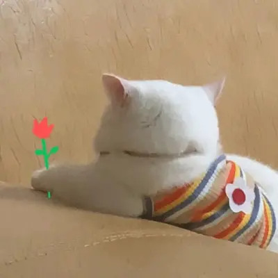 蠢萌蠢萌的可爱头像