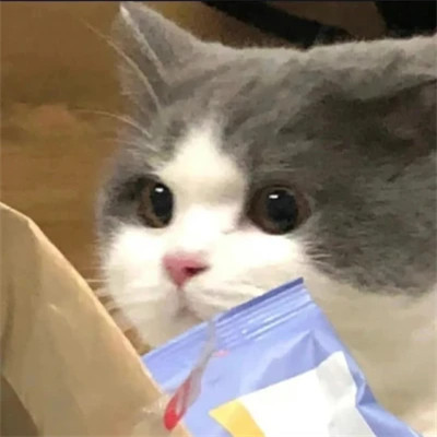 搞笑沙雕的头像