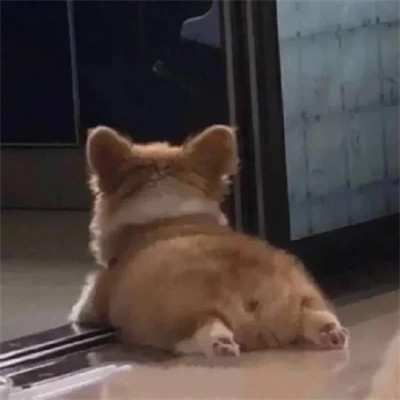 搞笑沙雕的头像