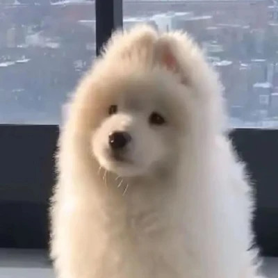 搞笑沙雕的头像