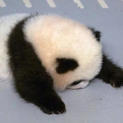 搞笑沙雕的头像