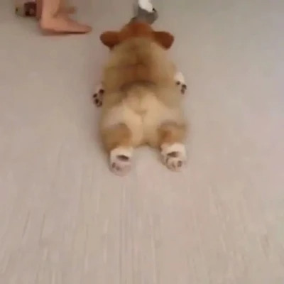 沙雕又不失优雅的头像