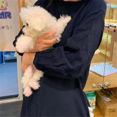 鬼畜沙雕头像