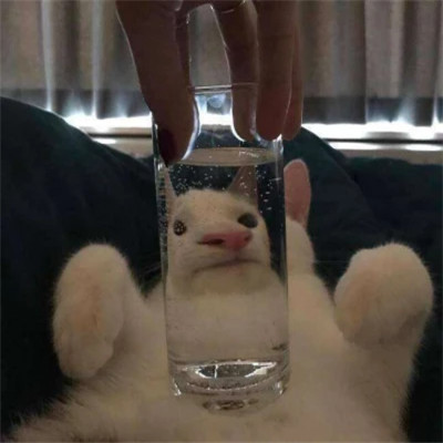 沙雕好看的头像图片