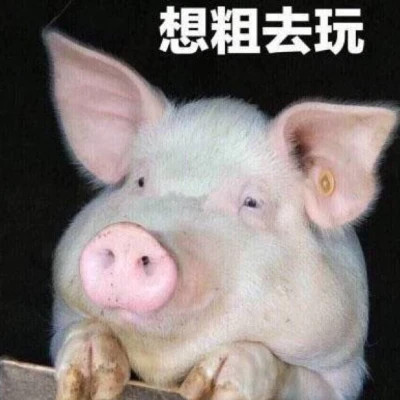 沙雕好看的头像图片