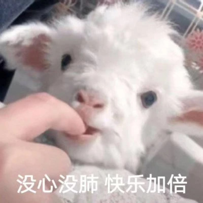 沙雕好看的头像图片
