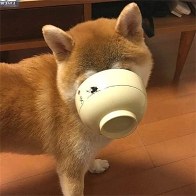 很搞笑的沙雕头像图