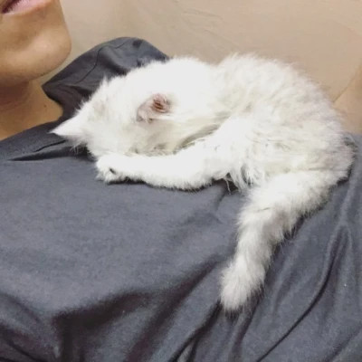 很搞笑的沙雕头像图