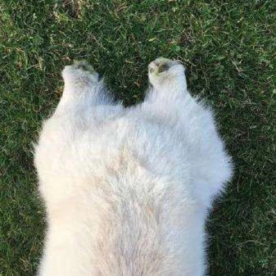 很搞笑的沙雕头像图