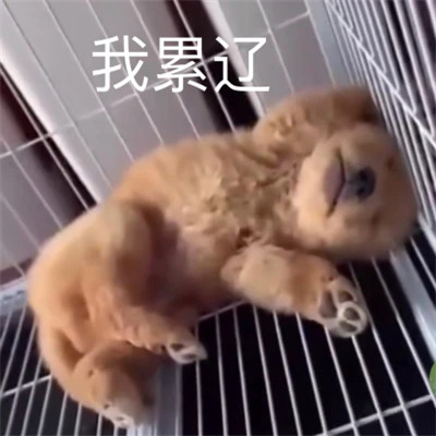 很搞笑的沙雕头像图