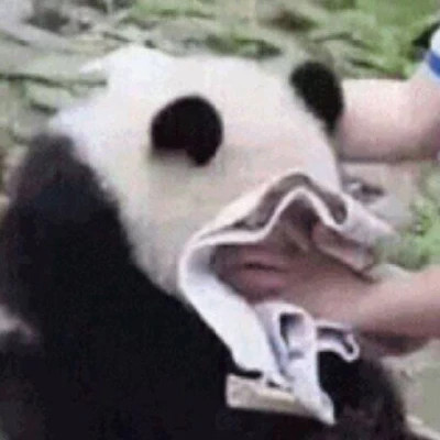 很搞笑的沙雕头像图