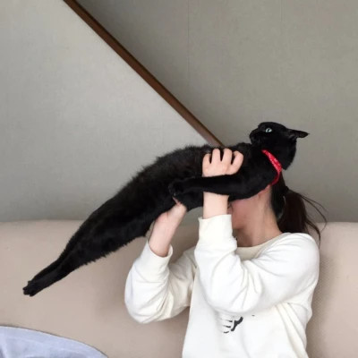 很沙雕的QQ头像