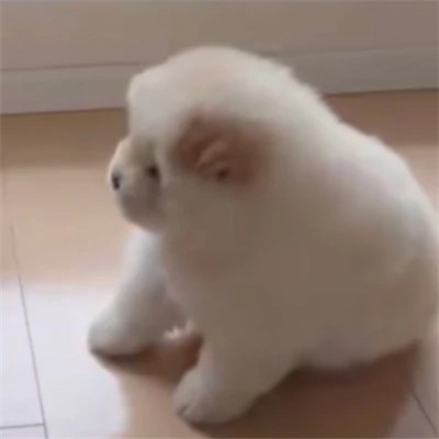 很沙雕的QQ头像