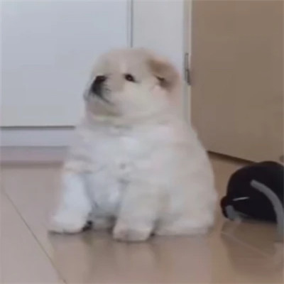 很沙雕的QQ头像