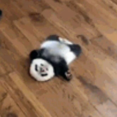 沙雕网红图片