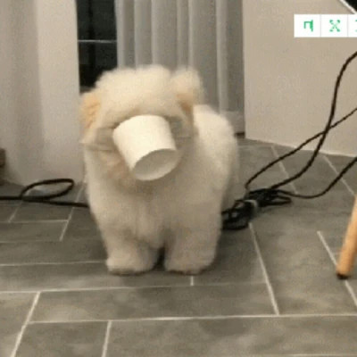 沙雕搞笑又丑个性的头像
