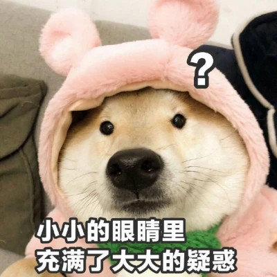 沙雕搞笑又丑个性的头像