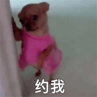 满级人类沙雕头像