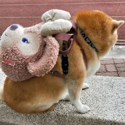 满级人类沙雕头像