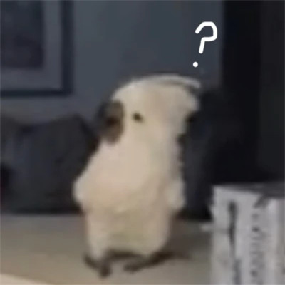 绝对有大病的沙雕头像