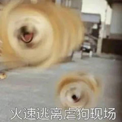 2025最火沙雕头像